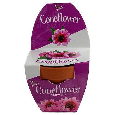 Buzzy Coneflower Terra Cotta Grow Kit