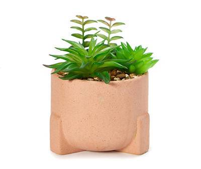 Artificial Succulent in Footed Terra-Cotta Ceramic Pot