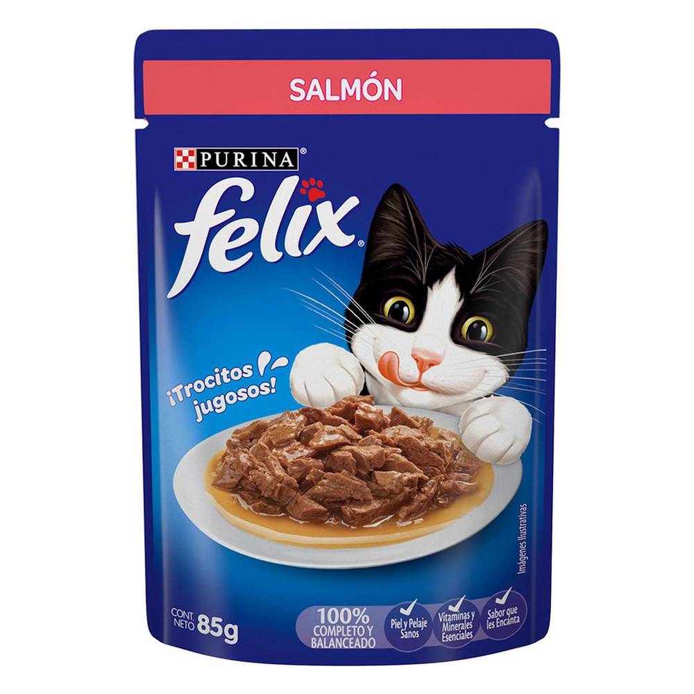 Purina Felix · Alimento húmedo para gatos, salmón, Adulto-Todas las Razas (85 g)