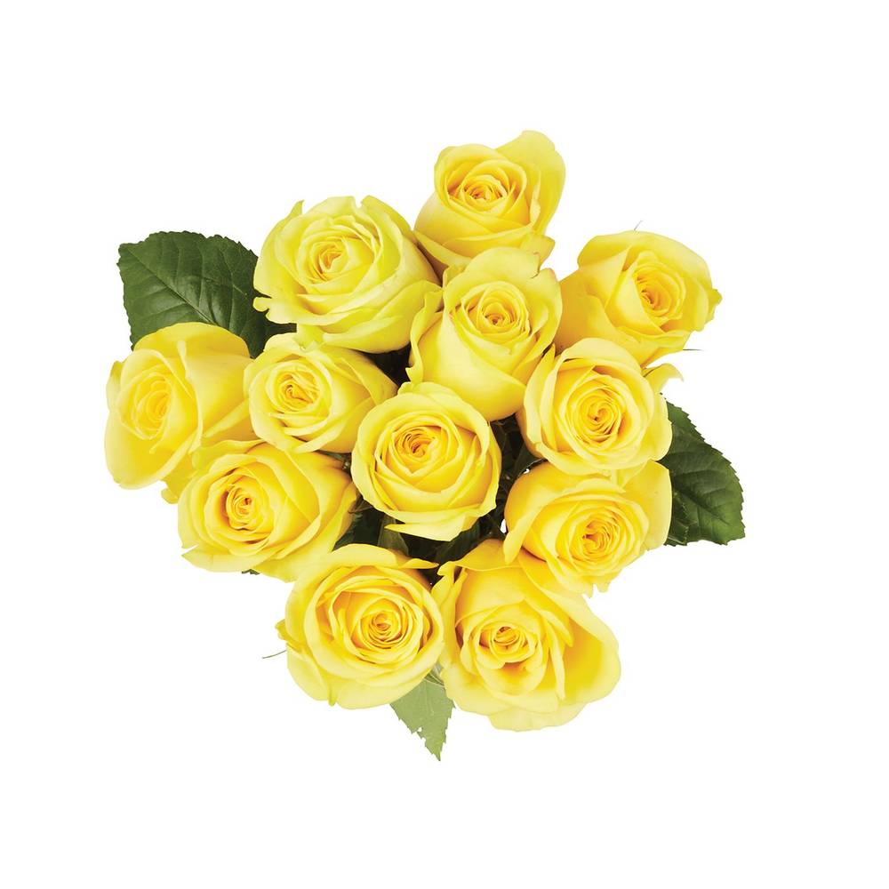 Nob Hill Trading Co. Dozen Yellow Roses 1 Ea