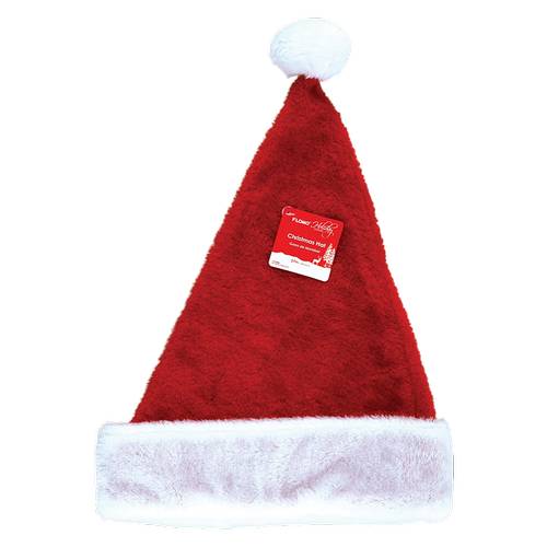 Santa Hat with Trim