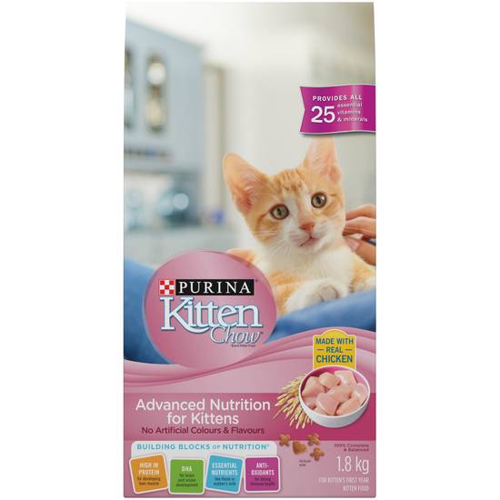 Kitten diapers clearance petsmart