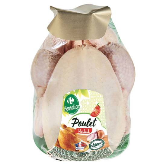 Carrefour - Poulet blanc halal