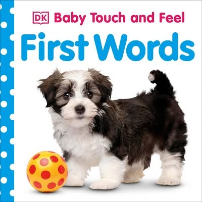 First Words - (Baby Touch and Feel) by DK (Board Book)