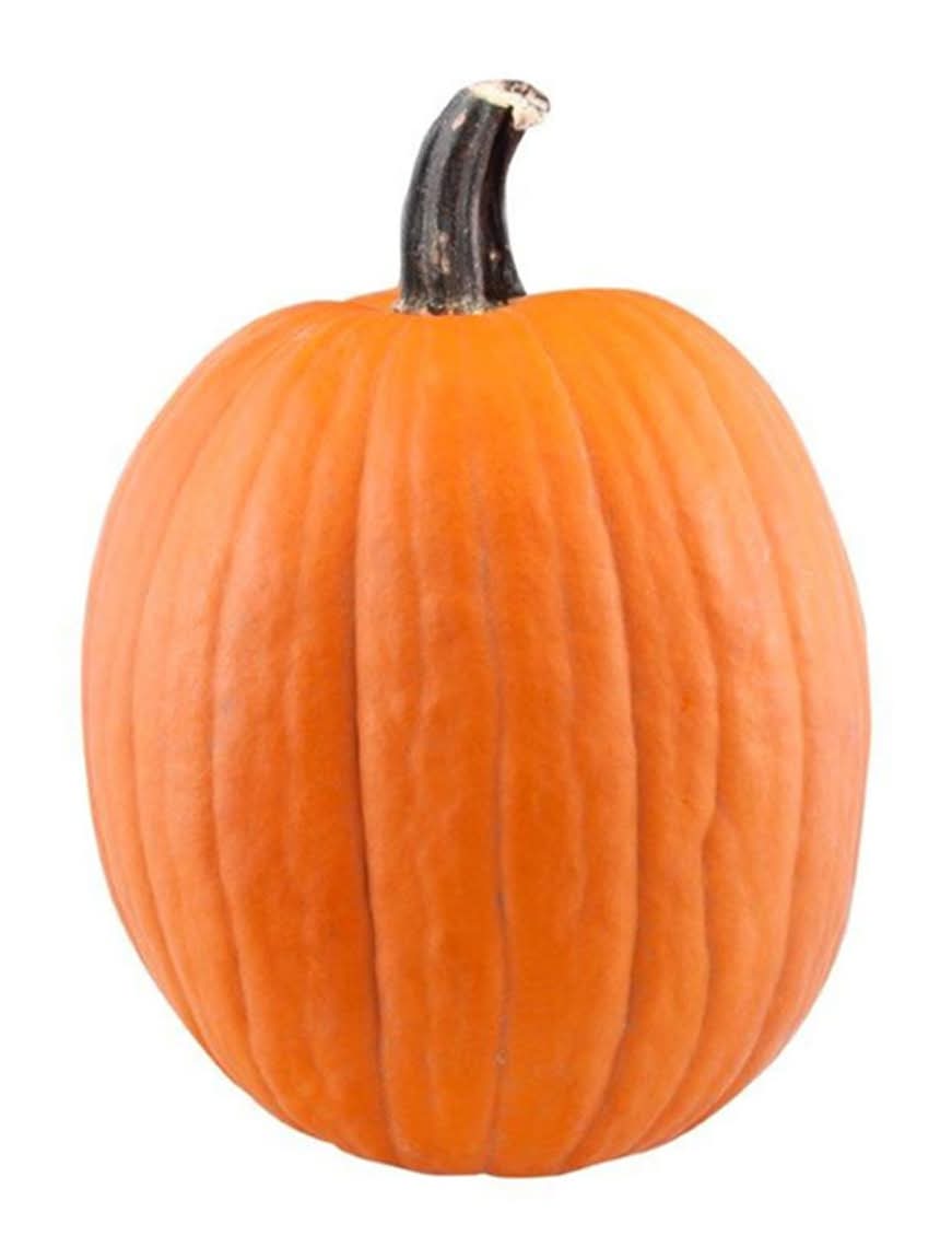 Pumpkin Medium/Large 1 Ct