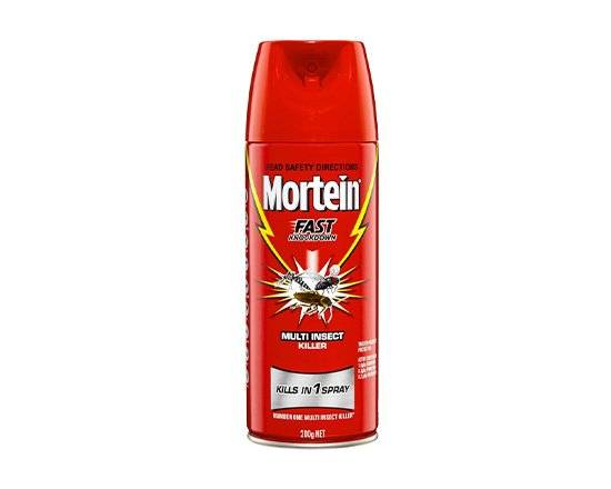 Mortein Fast Knockdown Insecticide Spray 200g