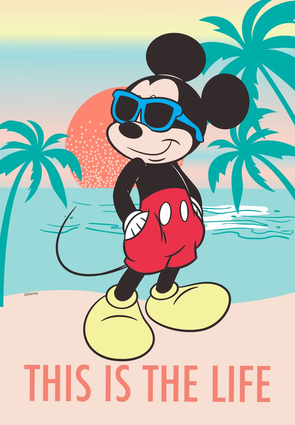 Disney 1.04-ft W x 1.5-ft H Summer Garden flag Kit | 10-1332-92-01