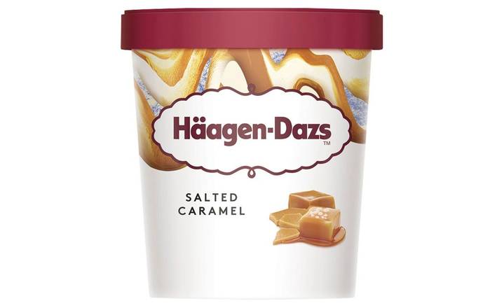 Haagen-Dazs Salted Caramel Ice Cream 460ml (397174)