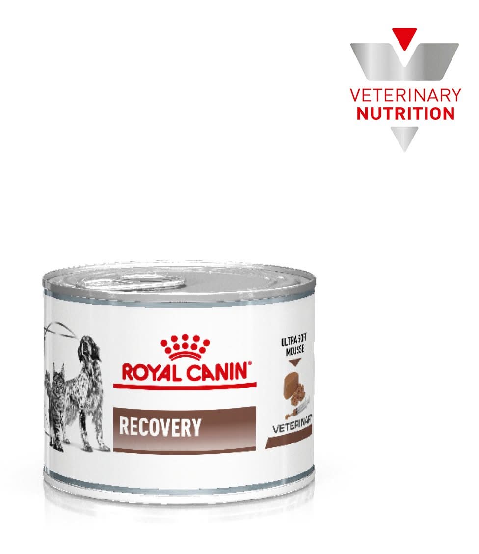 PRESCRIPCIÓN ALIMENTO HÚMEDO PARA RECUPERACIÓN PARA PERRO Y GATO 145 g