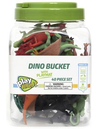 Play Right Dino Bucket With Playmat