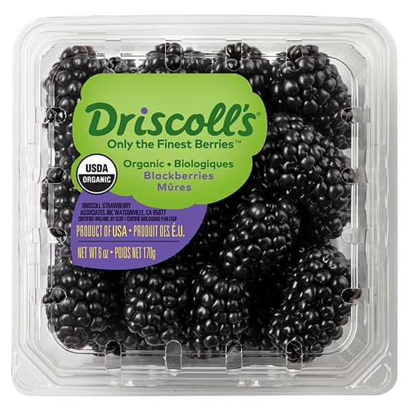 Organic Blackberries