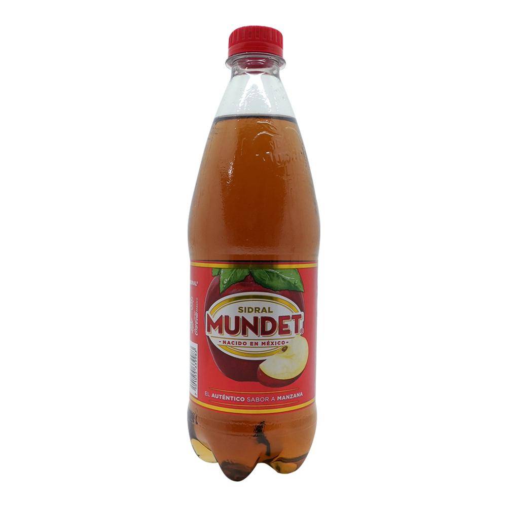 Sidral Mundet · Refresco sabor manzana (600 ml)