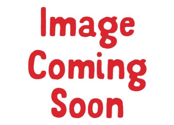 New York Cheesecake - Whole