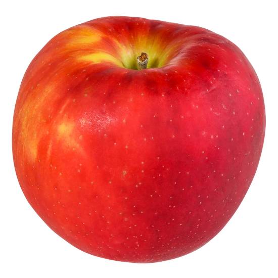Fruit