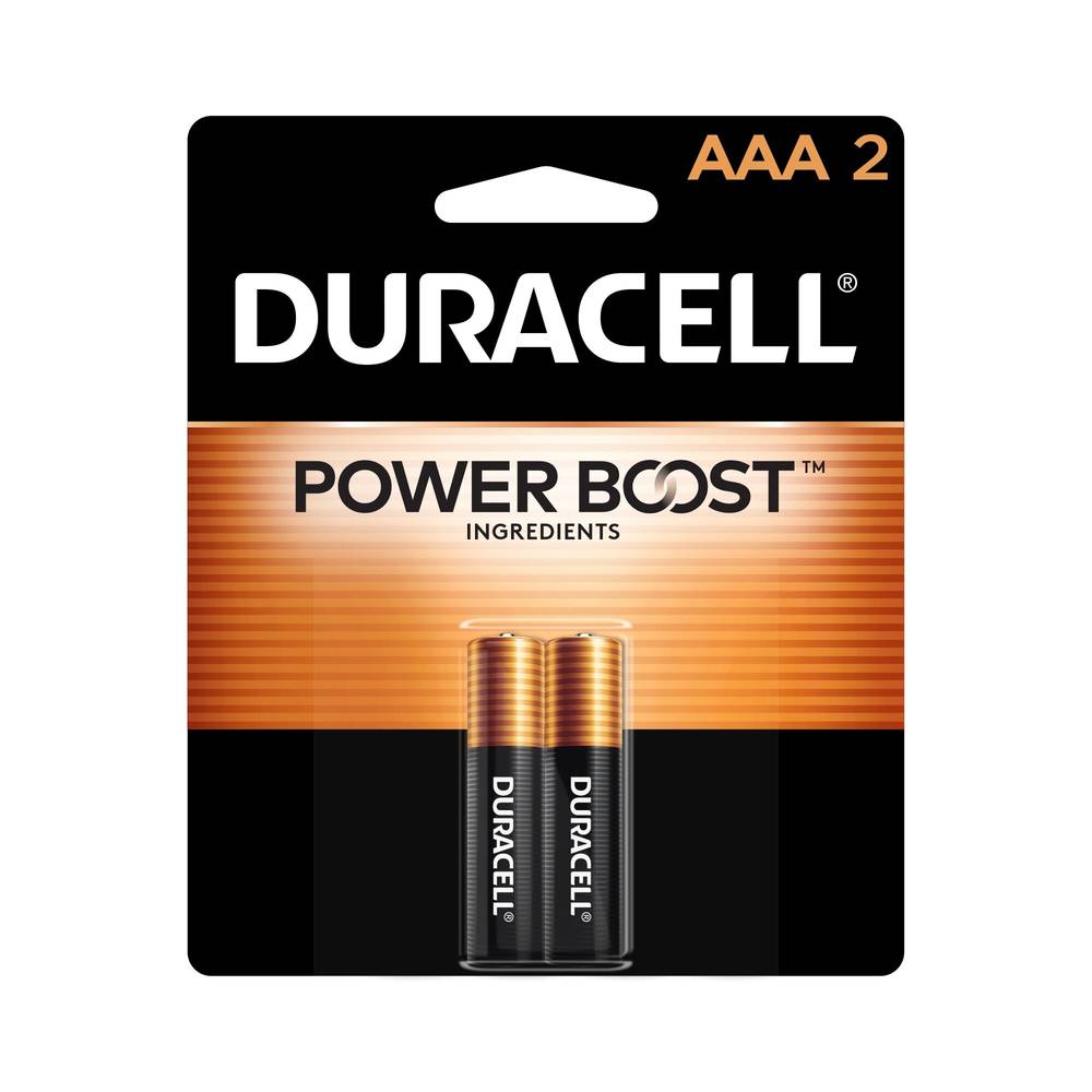 Duracell Coppertop AAA Alkaline Batteries, 2-Pack