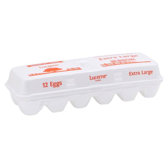 Lucerne Extra Large Eggs (12 ct)