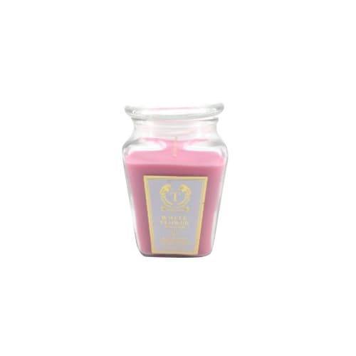 Toccata Assorted Jar Candle (18 oz)