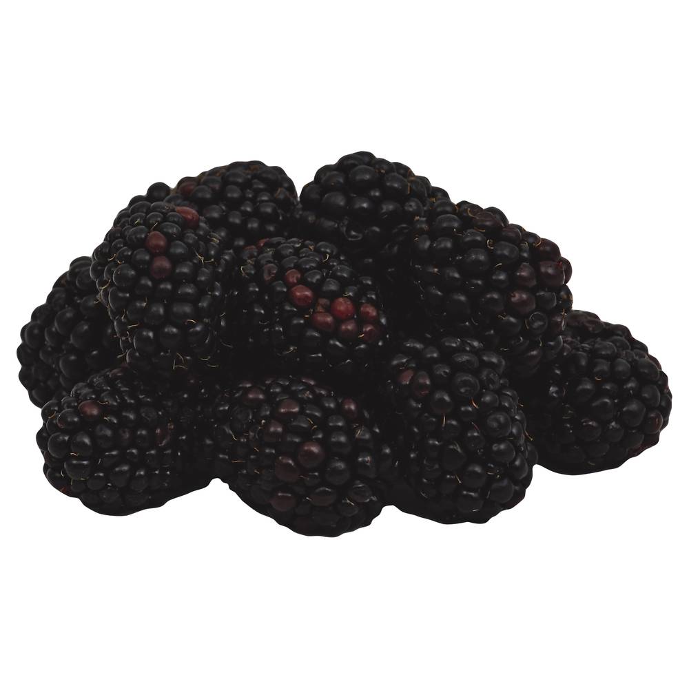 Driscoll's Blackberries