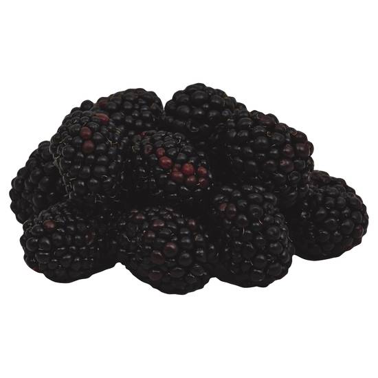 Driscoll's Only the Finest Berries Blackberries