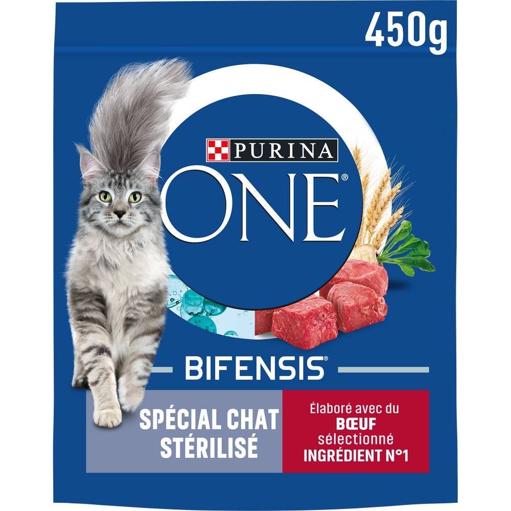 Purina - One chat stérilisé au bœuf et au blé croquettes pour chat adulte (450g)