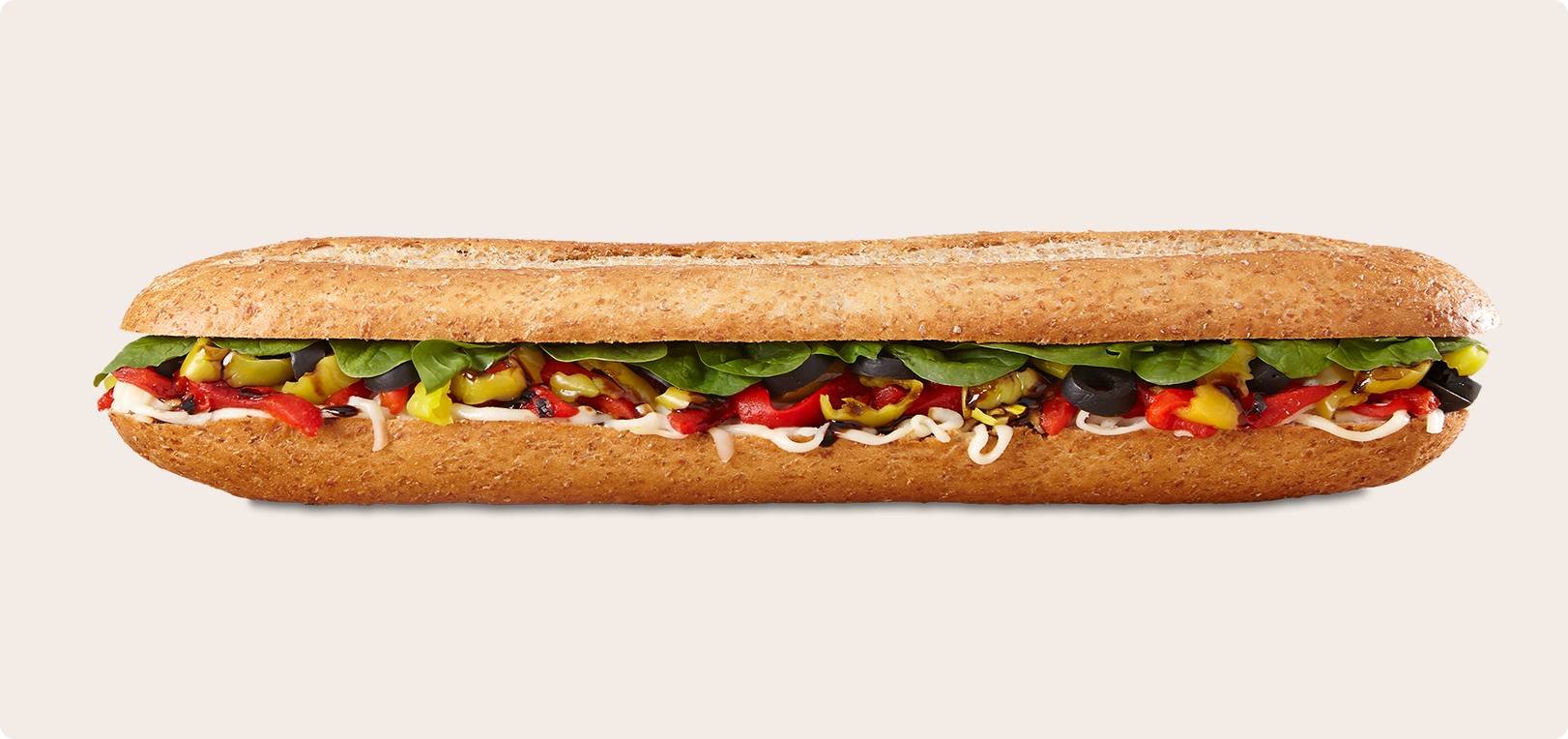 6 in Veggie Delight Sub