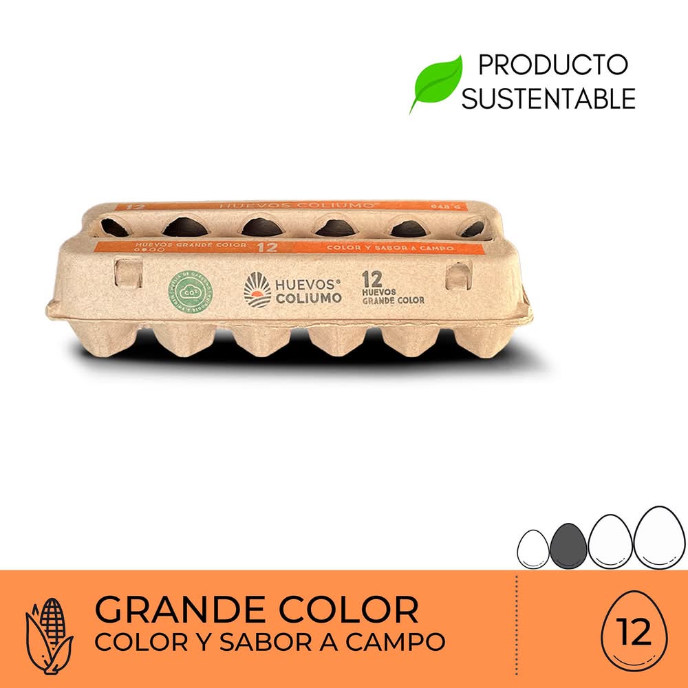 Huevos Coliumo · Huevos - Grande (12 un)