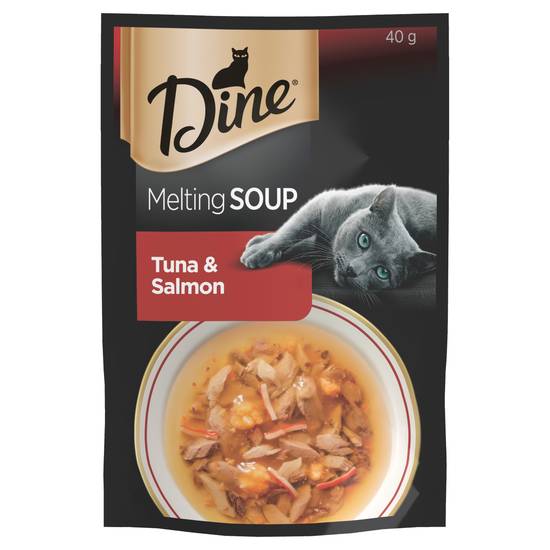 Dine Tuna & Salmon Melting Soup Cat Food 40g