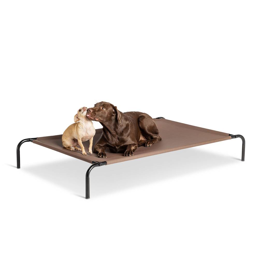 Top Paw Indoor/Outdoor Elevated Dog Bed, 60 L x 37 W x 9 H, Brown