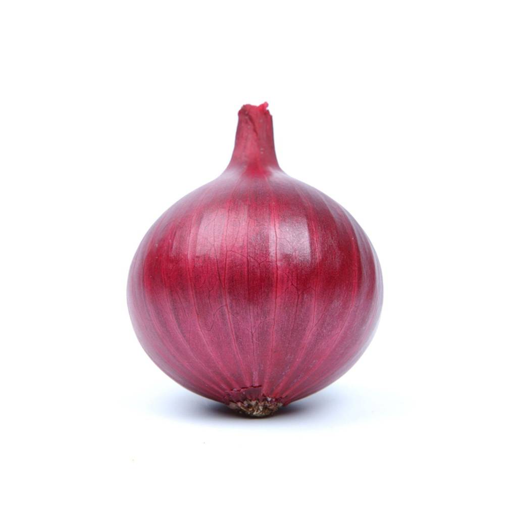 Spanish Onion Approx. 200 Grams