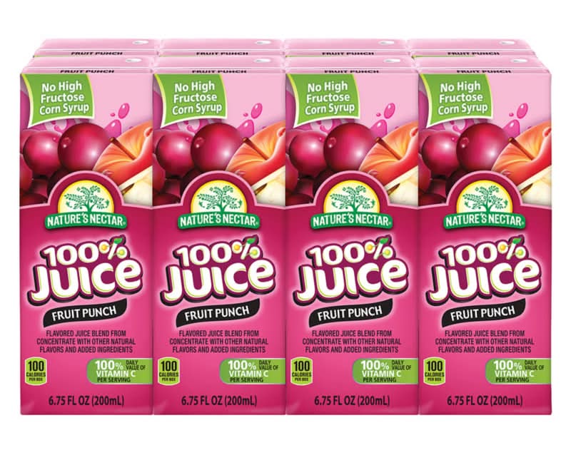 Nature's Nectar 100% Fruit Punch Juice Boxes, 8 pack