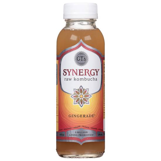 Gt's Synergy Raw Kombucha (10 fl oz) (ginger)