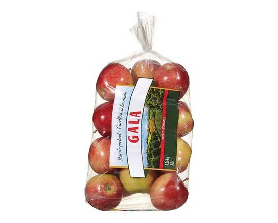 Pommes gala - Gala apples (1.3 kg)
