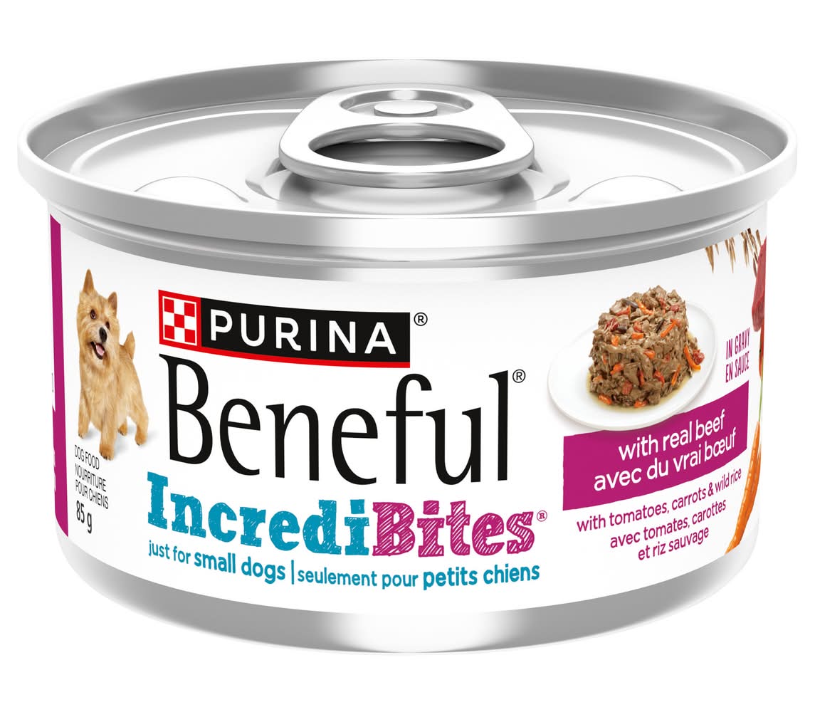 Purina Beneful Incredibites in Gravy With Real Beef Wet Dog Food (85 g)