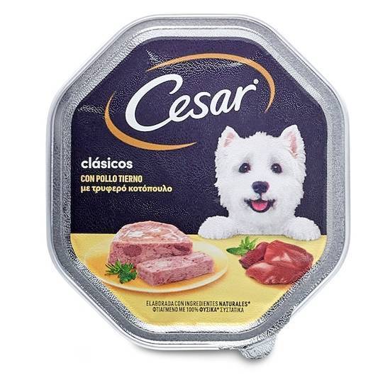 Alimento para perros con pollo Cesar tarrina 150 g