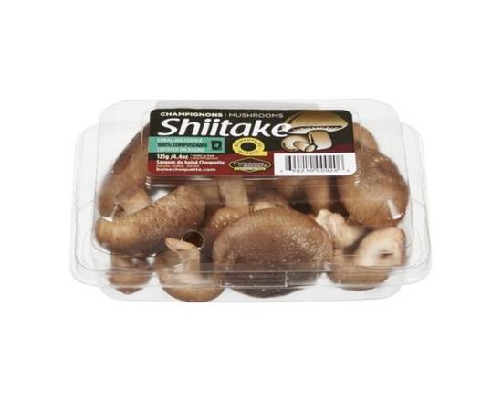 Champignon shiitake (125 g) - Shiitake mushroom (125 g)