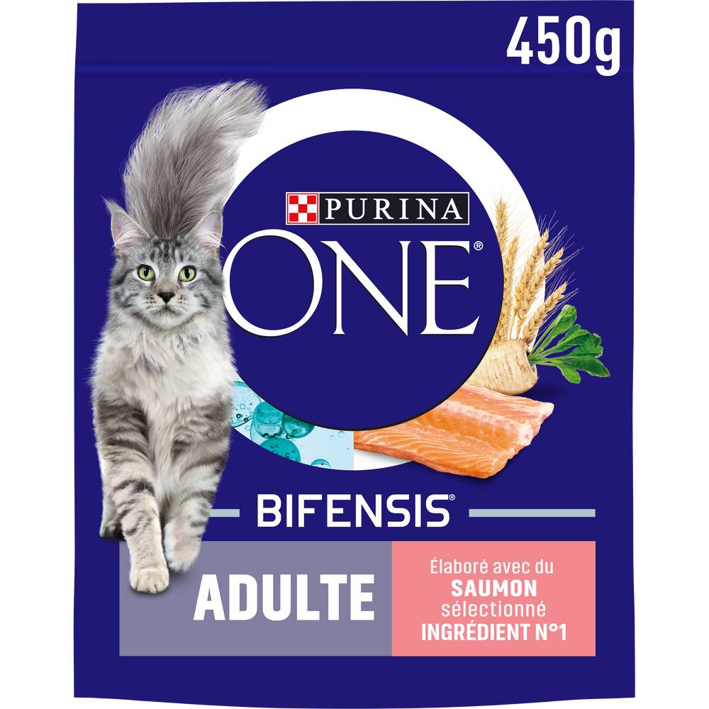 Purina - Croquettes one pour chat adulte, saumon - céréales complètes (450g)