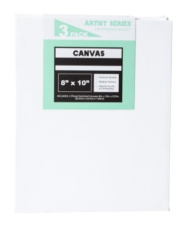 8in x 10in Stretched Canvas 3-Count