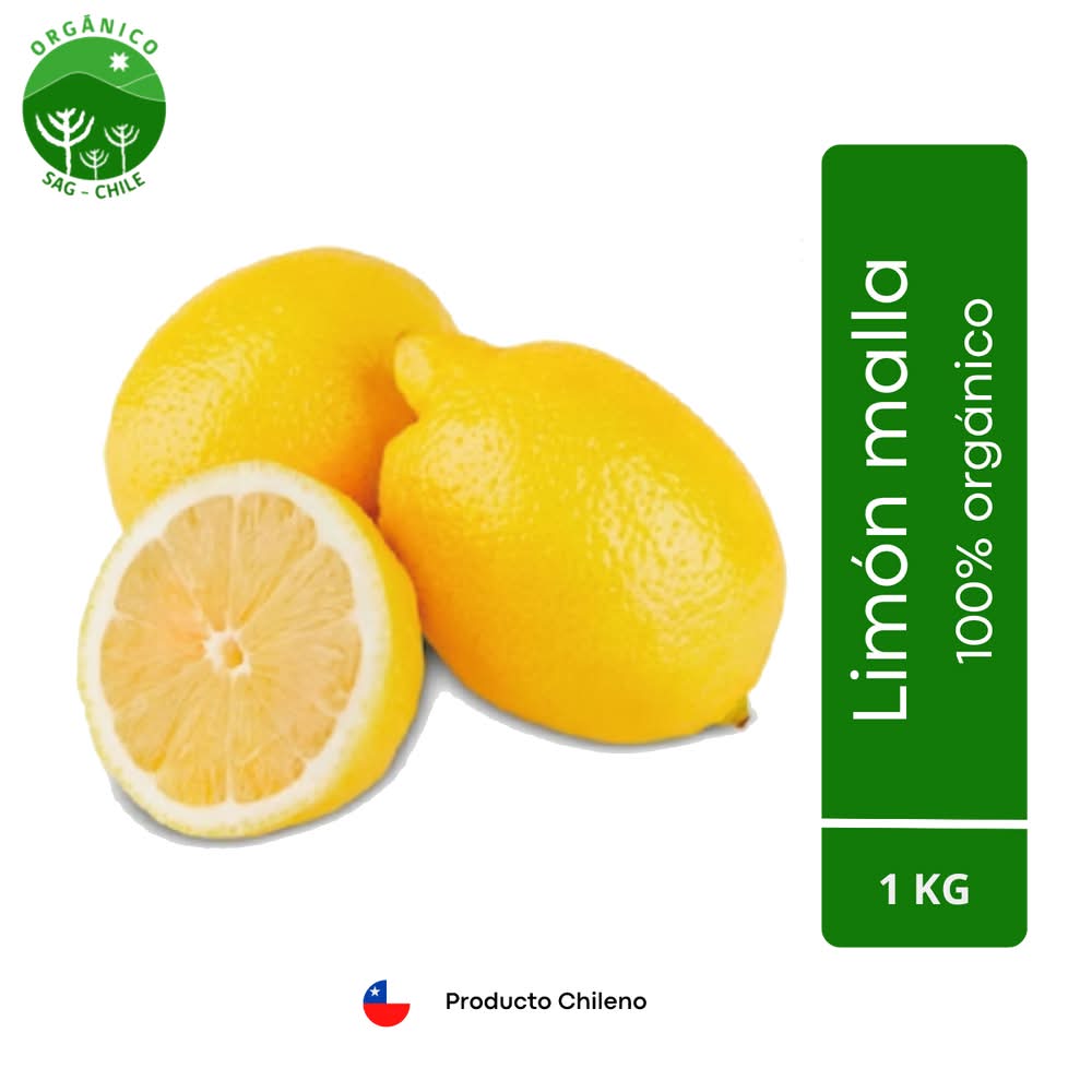Limones orgánicos en malla (1 kg)