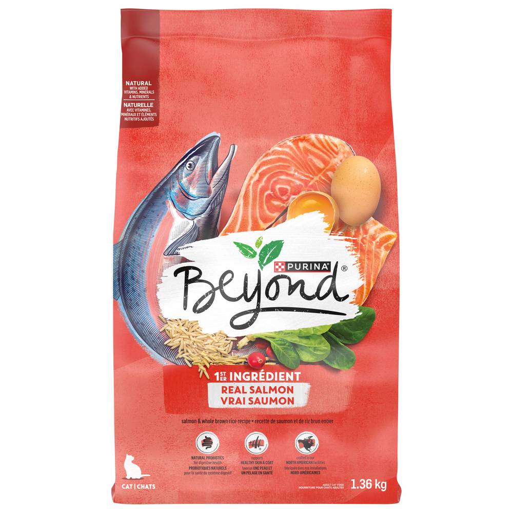 Beyond Simply Natural Dry Cat Food Salmon & Whole Brown Rice Recipe (1.36 kg)