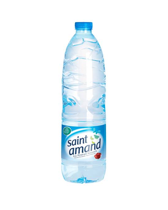 Saint Amand - Eau minérale naturelle (1L)