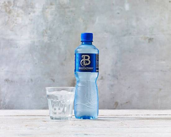 Water (500ml Bottle)