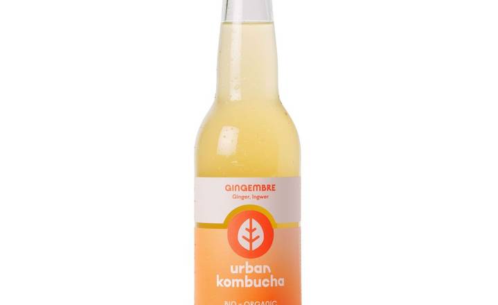 Urban Kombucha Ginger