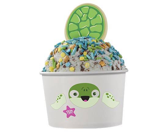 Order Sea Turtle  food online from Baskin-Robbins store, Menifee on bringmethat.com
