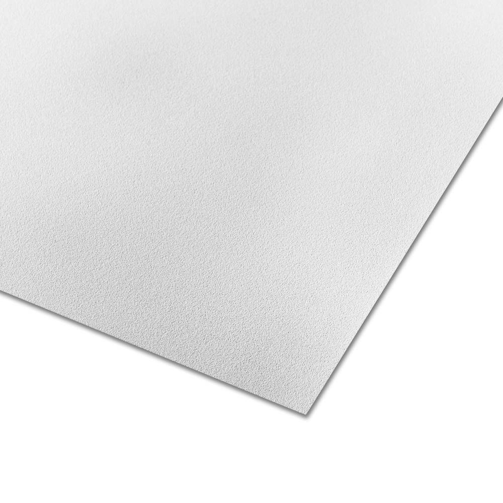 Parkland Plastics Embossed White Matte Plastic Wall Panel | 688840