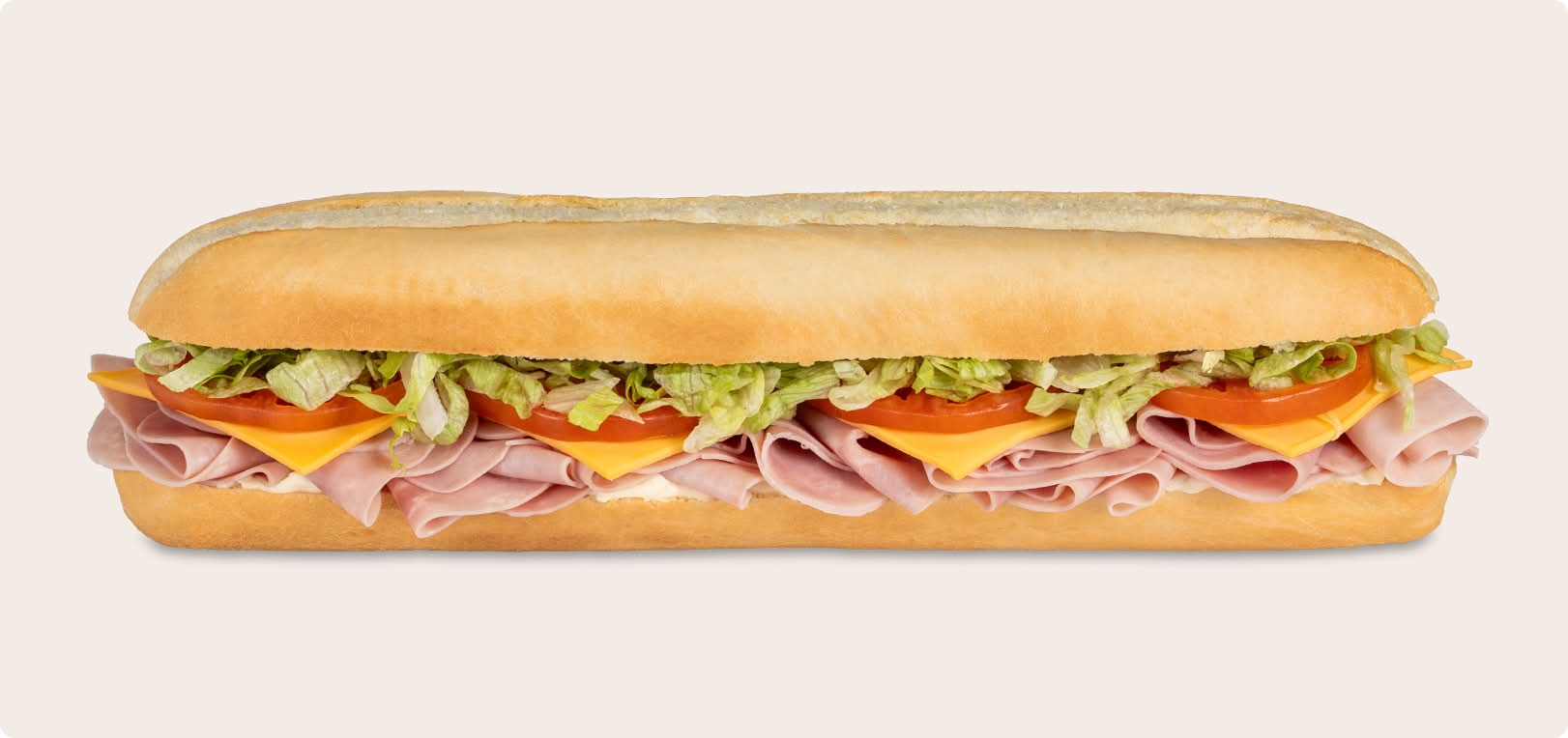 6 in Ham Sub