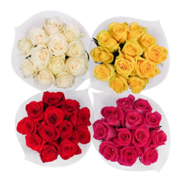 Dozen Roses (12 Stem)