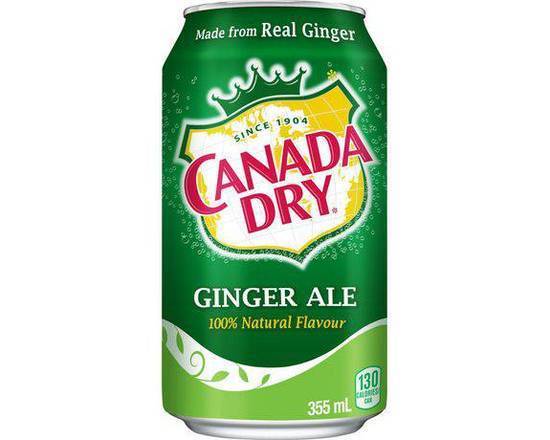 Ginger Ale (355 ml)