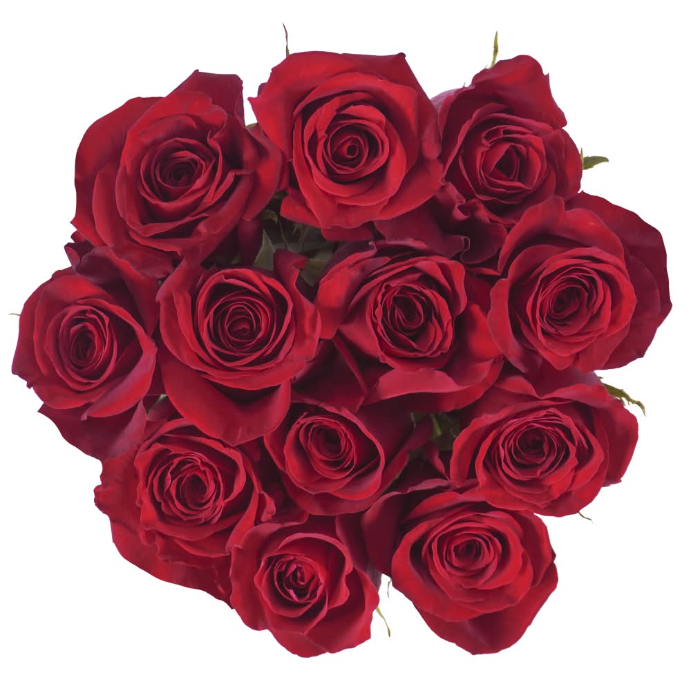 Bloom Haus™ Dozen Rose Bunch - Red