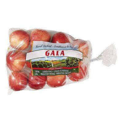 Pomme gala bio (sac de 1,3kg) - gala apple bag (1.3 kg)