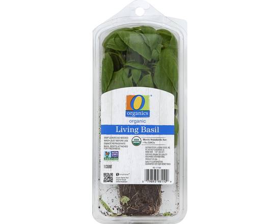 Order O Organics · Living Basil (1 ct) food online from Safeway store, Butte on bringmethat.com
